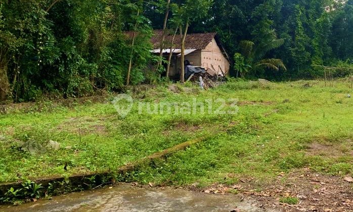 Tanah Murah Klaten Sertifikat Pekarangan Dekat Pasar Klewer 4