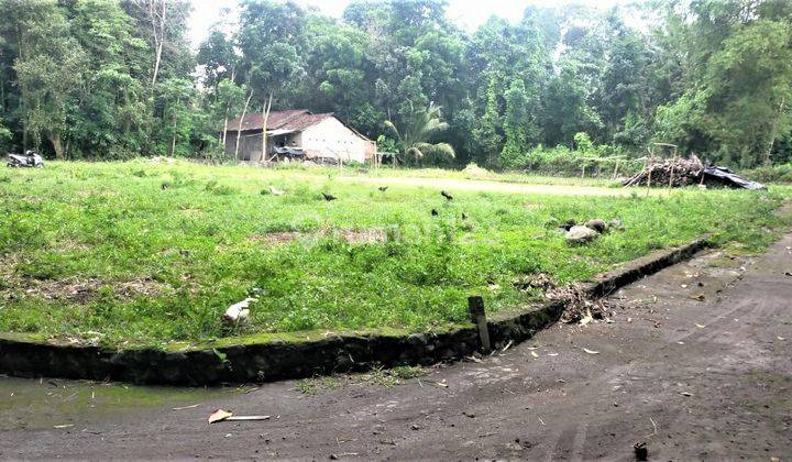 Tanah Murah Klaten Sertifikat Pekarangan Dekat Pasar Klewer 6