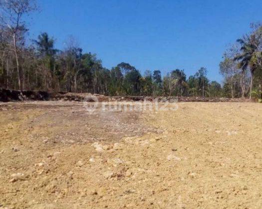 Dijual Tanah Kulonprogo Dekat Stadion Cangkring Jogja 2