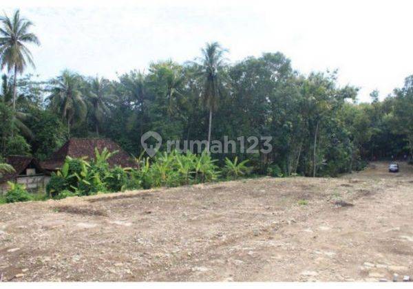 Dijual Tanah Kulonprogo Dekat Stadion Cangkring Jogja 3