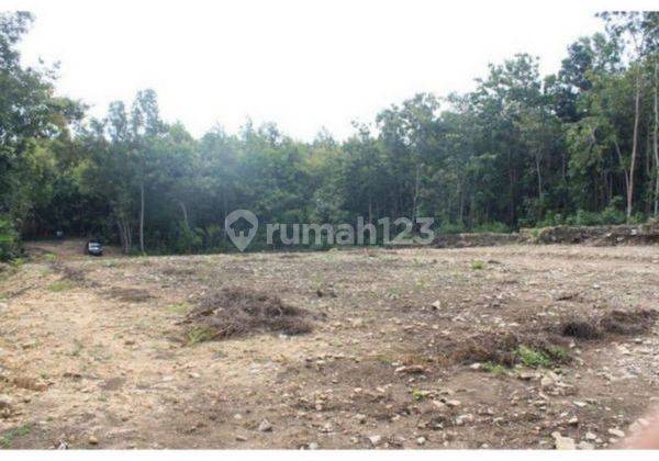 Dijual Tanah Kulonprogo Dekat Stadion Cangkring Jogja 4