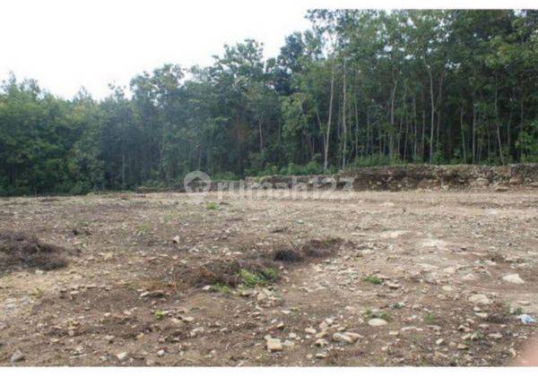 Dijual Tanah Kulonprogo Dekat Stadion Cangkring Jogja 5