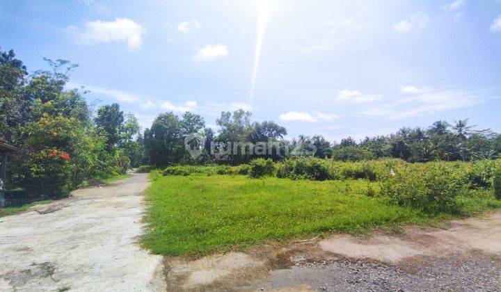 Tanah Dijual Sdn Kumpulsari, Purworejo Luas 141m 1