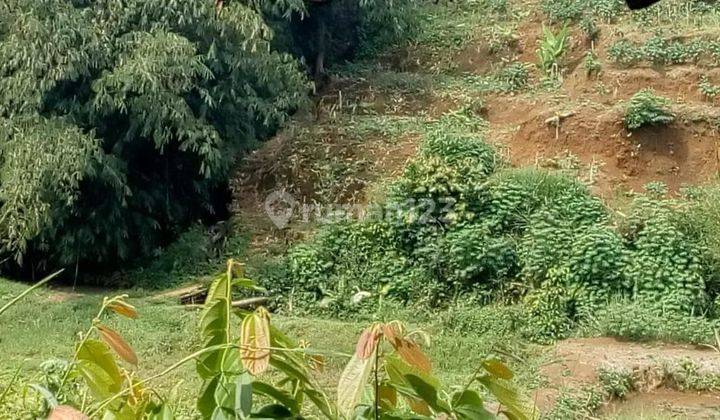 Jual Tanah di Bogor Pinggir Jalan, Shm, Dekat Wisata Cnn 6