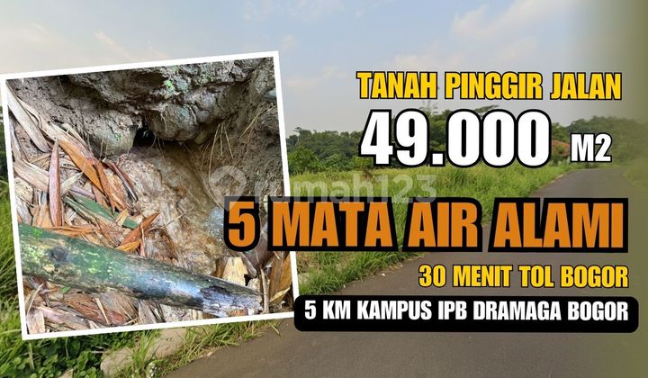 Jual Tanah di Ciampea Bogor, Pinggir Jalan Ada 5 Mata Air di Kebun Jual Tanah di Ciampea Bogor, Pinggir Jalan Ada 5 Mata Air di Kebun