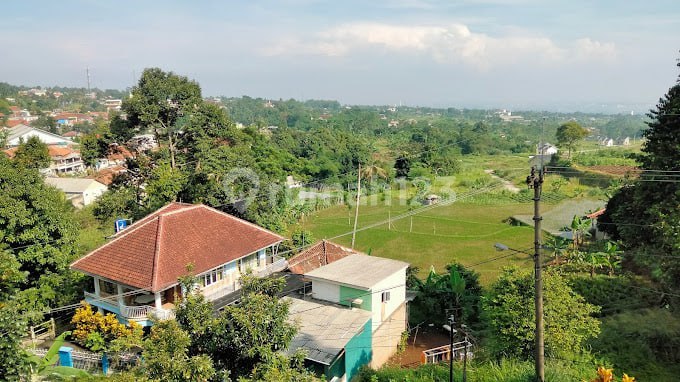 DIJUAL KEBUN DURIAN SUDAH BERBUAH DI CIJERUK BOGOR DIJUAL KEBUN DURIAN SUDAH BERBUAH DI CIJERUK BOGOR