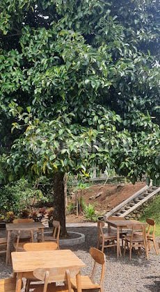 DIJUAL KEBUN DURIAN SUDAH BERBUAH DI CIJERUK BOGOR DIJUAL KEBUN DURIAN SUDAH BERBUAH DI CIJERUK BOGOR