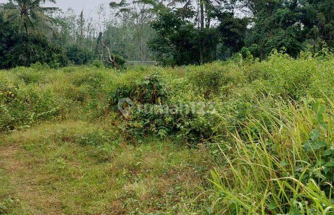 Dijual Murah Tanah di Serang Timur Lokasi Strategis Pinggir Jalan 1