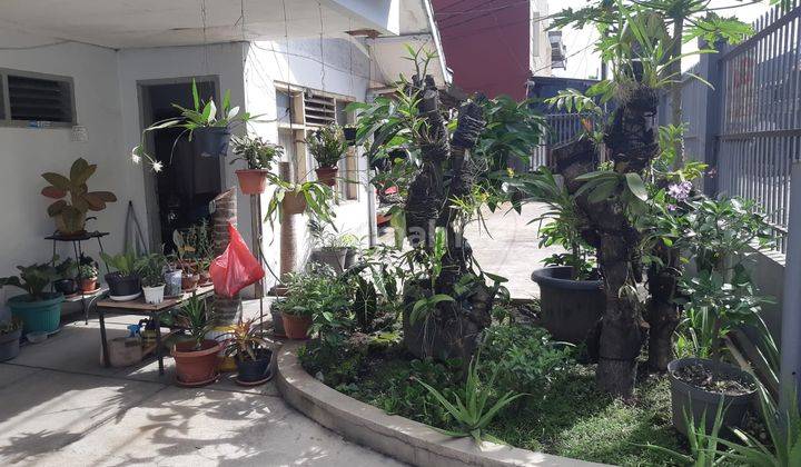 Rumah Area Kota Ada Taman Kecil di Kembar 2