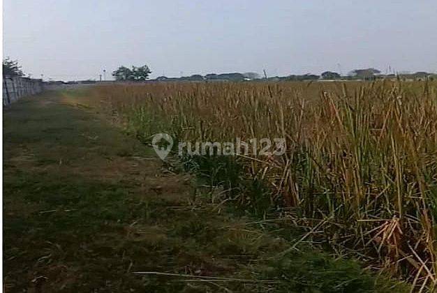 Disewa Kavling Berpagar di Segara Makmur Tarumajaya Bekasi 2