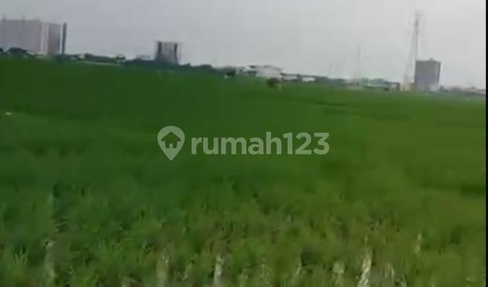 Karawang Tanah Sawah Lokasi Strategis Dekat Akses Tol