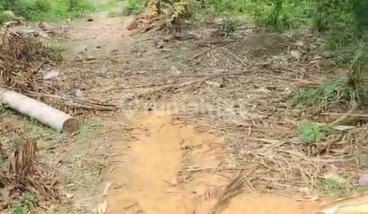 Raya Mauk - Teluk Naga Tanah Padat Pinggir Jalan Raya Akses Kontainer 40 Feet 2