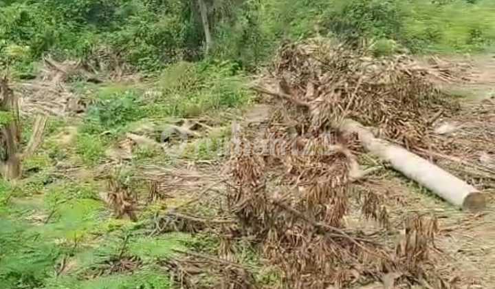 Raya Mauk - Teluk Naga Tanah Padat Pinggir Jalan Raya Akses Kontainer 40 Feet 1