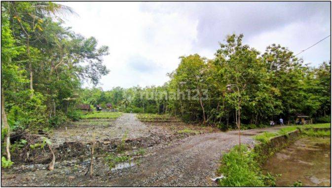 Dijual Tanah Sentolo Dekat Pasar Sentolo Jogja 4