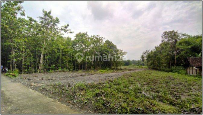 Dijual Tanah Sentolo Dekat Pasar Sentolo Jogja 5