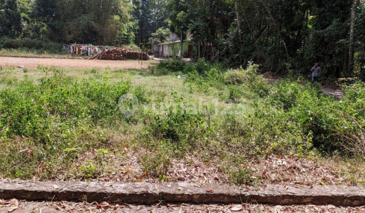 Jual Tanah Klaten Dekat Pasar Kembang Klaten 1