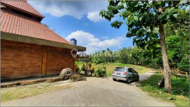 Jual Tanah Murah Jogja 6 Menit Pasar Sentolo 1