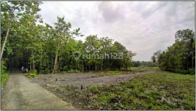 Jual Tanah Murah Jogja 6 Menit Pasar Sentolo 2
