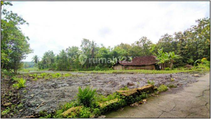 Jual Tanah Murah Jogja 6 Menit Pasar Sentolo 3
