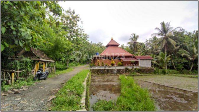 Jual Tanah Murah Jogja 6 Menit Pasar Sentolo 4
