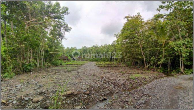 Jual Tanah Murah Jogja 6 Menit Pasar Sentolo 5