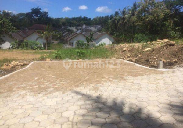 Selatan Jl Nasional Kulonprogo, Tanah Wates Jogja 1