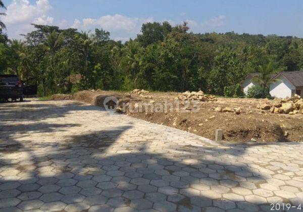 Selatan Jl Nasional Kulonprogo, Tanah Wates Jogja 3