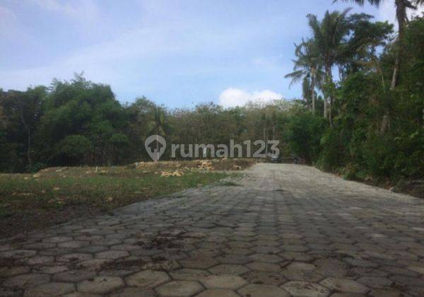 Selatan Jl Nasional Kulonprogo, Tanah Wates Jogja 5
