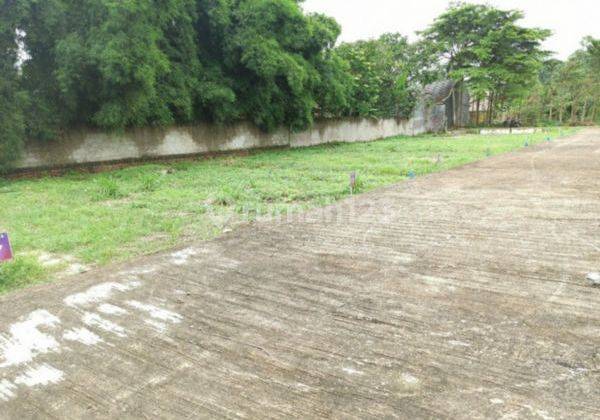 Tanah Murah Giripeni, Dekat Polres Kulonprogo Jogja 4