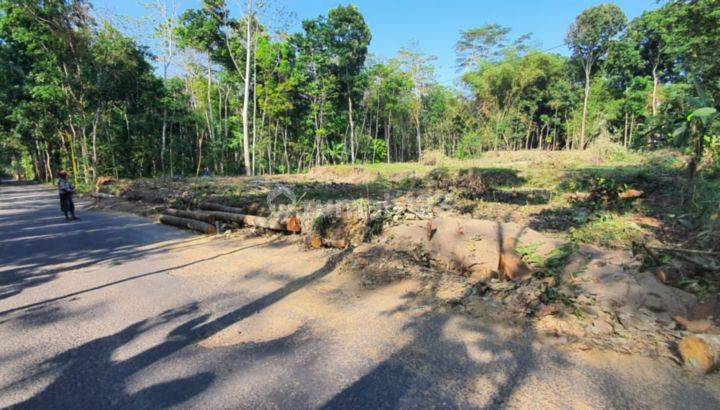 Tanah Murah Klaten Dekat Tugu Borangan, SHM 4