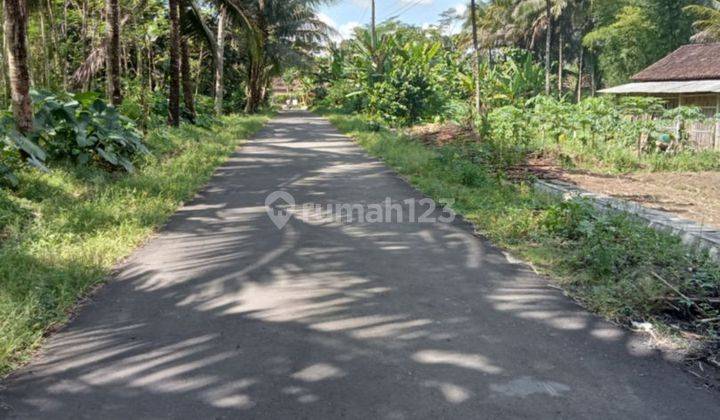 Tanah Dekat Candi Borobudur Magelang, Cocok Investasi 5