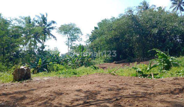 Jual Tanah Mungkid, Dekat Rsud Merah Putih Magelang 2