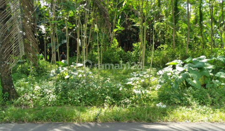 Dijual Tanah Borobudur, Dekat Polsek Borobudur Magelang 3
