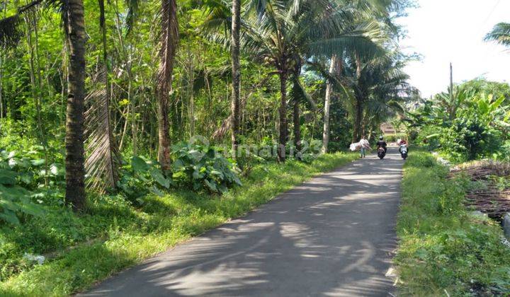 Dijual Tanah Borobudur, Dekat Polsek Borobudur Magelang 4