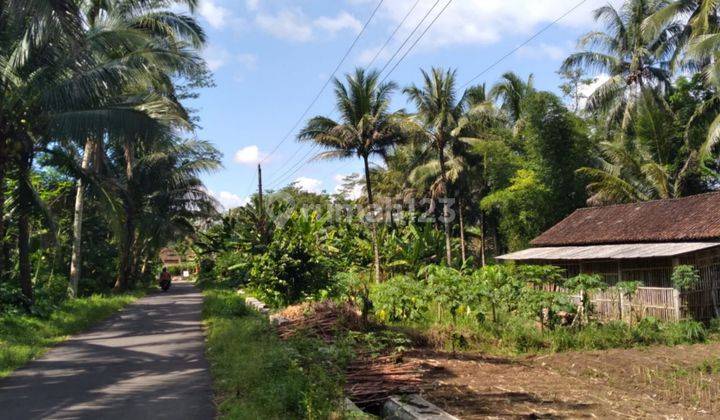Dijual Tanah Borobudur, Dekat Polsek Borobudur Magelang 5