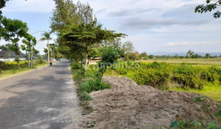 Tanah Dekat Candi Prambanan Klaten, Cocok Investasi 1