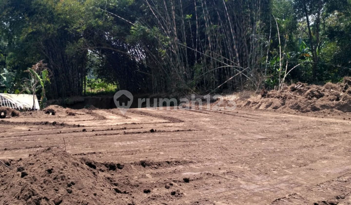 Tanah Bumirejo Magelang, 4 Menit Stadion Gemilang  2