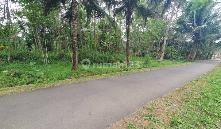Tanah Murah Borobudur Magelang, Dekat Candi Borobudur  4