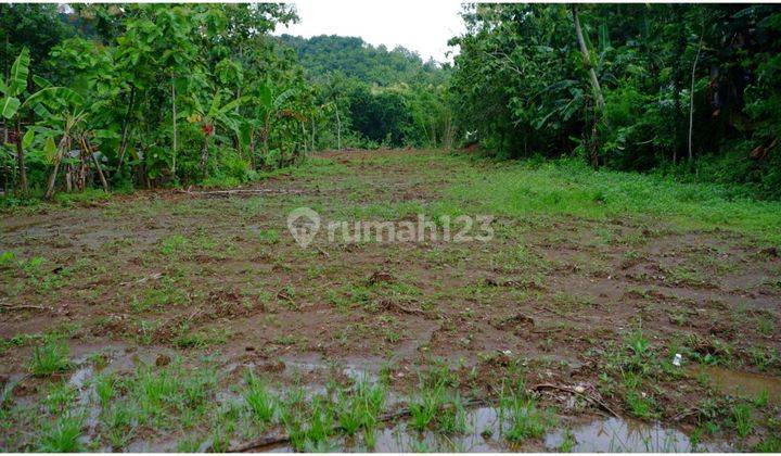 Tanah di Jl Imogiri 120 Jtan Dekat Lapangan Segoroyoso 2