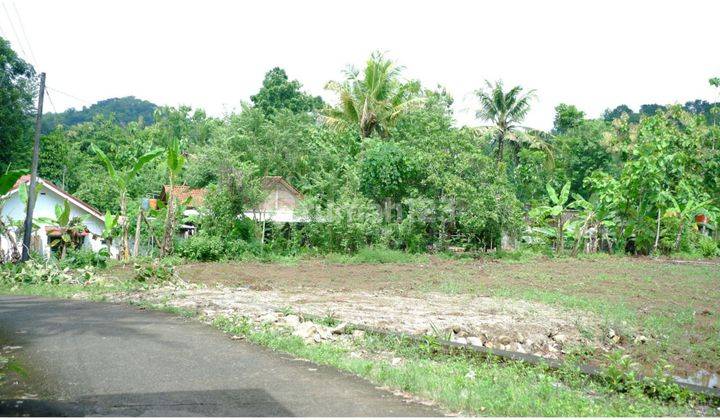 Tanah di Jl Imogiri 120 Jtan Dekat Lapangan Segoroyoso 4