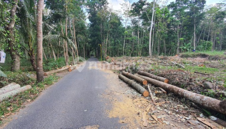Pekarangan SHM Manisrenggo, Area Candi Kaliworo Klaten 4