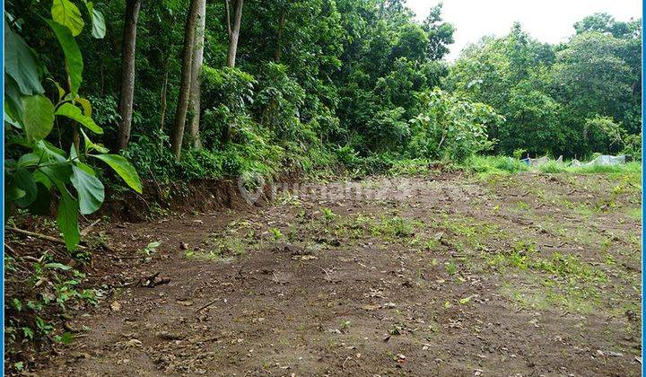 Jual Tanah Di Bantul Harga Terbaru 2024 Hal 2