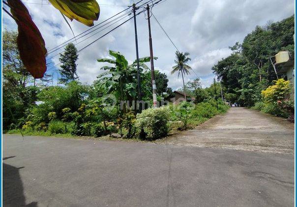 Tanah Jl Raya Tajem Jogja, Dekat Kampus Sanata Dharma  1