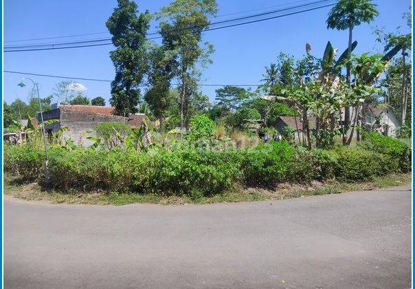 6 Menit Kampus Uii Tanah Dijual Sleman Jogja, 2