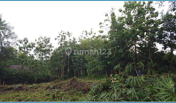 Tanah Moyudan Jogja, Dekat Pasar Godean  2