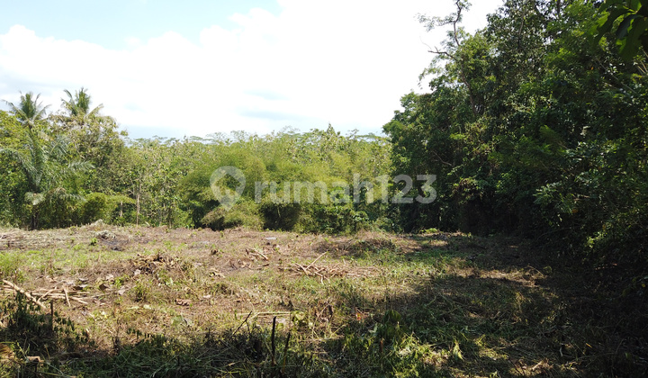 Jual Tanah Moyudan Jogja, 8 Menit Pasar Ngijon Jual Tanah Moyudan Jogja, 8 Menit Pasar Ngijon