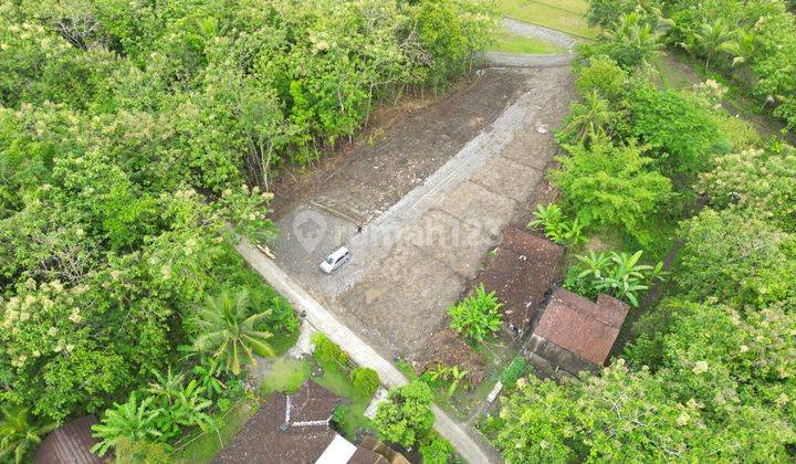 Tanah Jogja Dekat Pasar Nyonyol  Sentolo 2