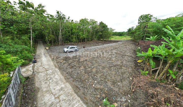 Tanah Jogja Dekat Pasar Nyonyol  Sentolo 2