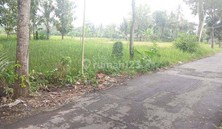 Tanah Dijual Sleman, Dekat Kampus UII Yogyakarta  2