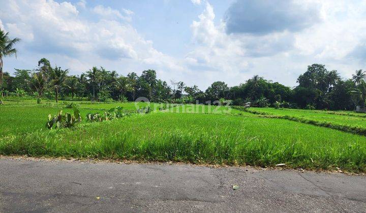 Tanah Peruntukan Kost UII, SHM Pekarangan  1